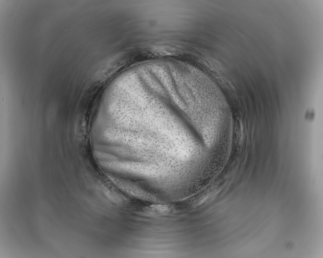 X0000090870418200708101338