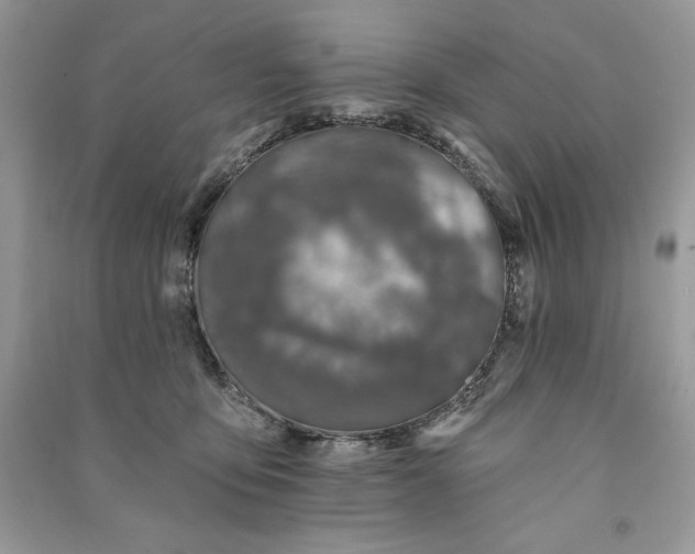 X0000090870419200708101338