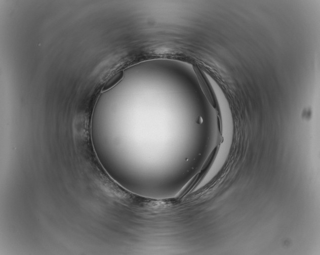 X0000090870421200708101337