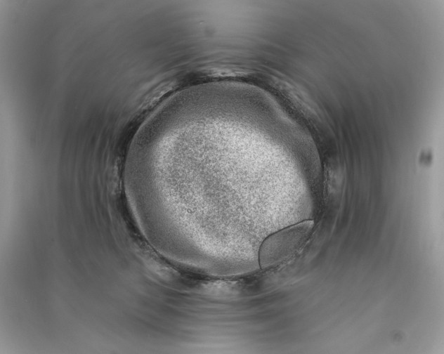 X0000090870422200708101337