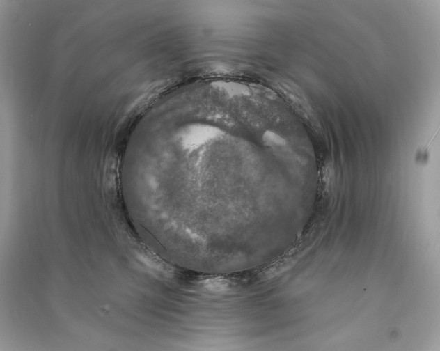 X0000090870423200708101337