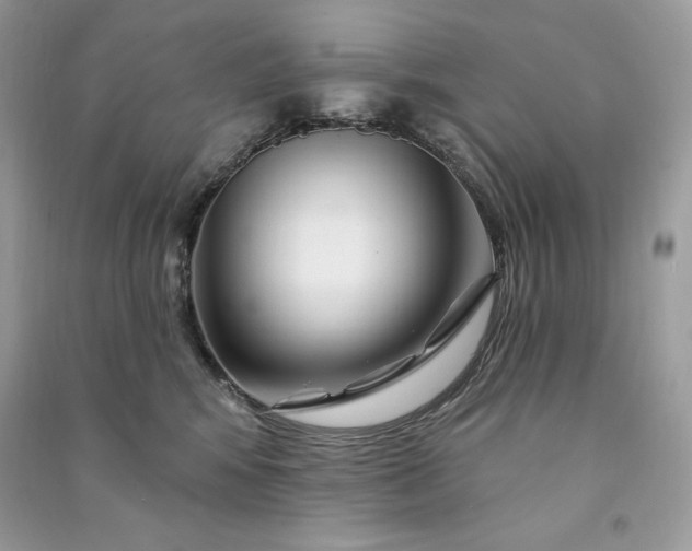 X0000090870424200708101337