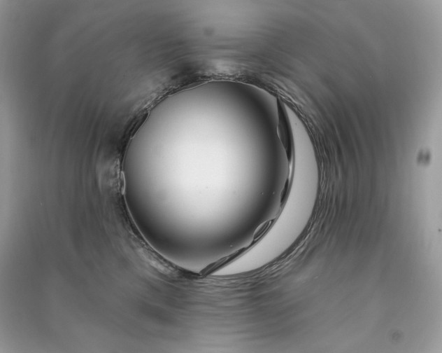 X0000090870425200708101337