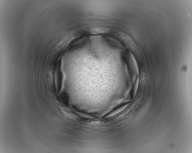 X0000090870426200708101337