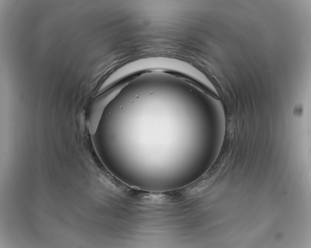 X0000090870428200708101337