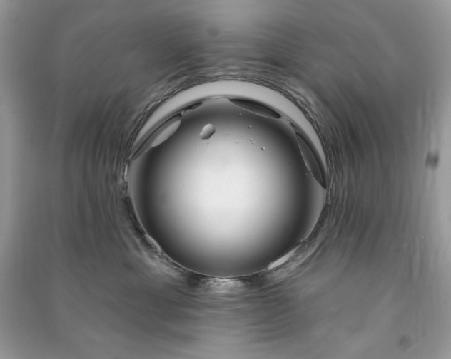 X0000090870429200708101337