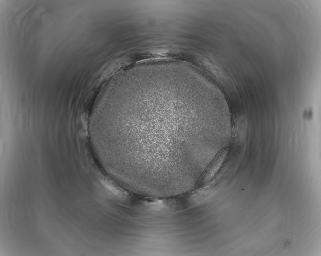 X0000090870430200708101337