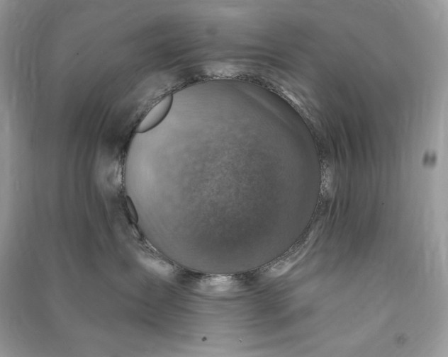 X0000090870431200708101337