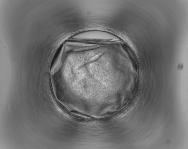 X0000090870433200708101337