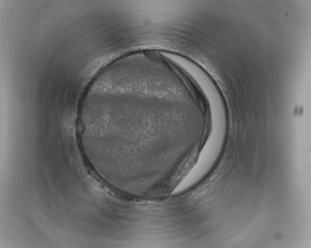 X0000090870434200708101337