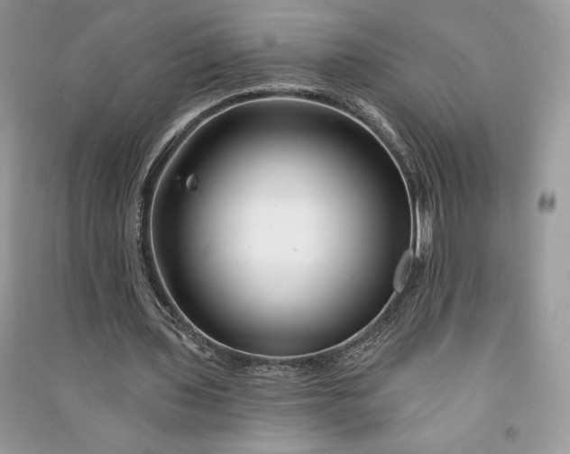 X0000090870435200708101337