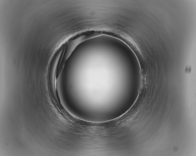 X0000090870436200708101337