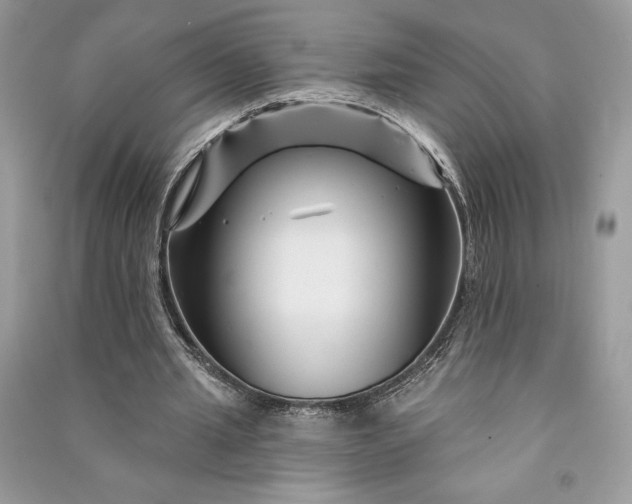 X0000090870437200708101337