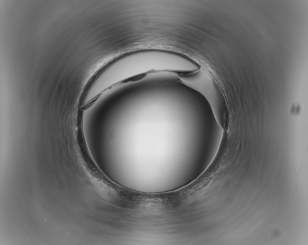 X0000090870438200708101337