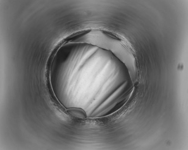 X0000090870439200708101337