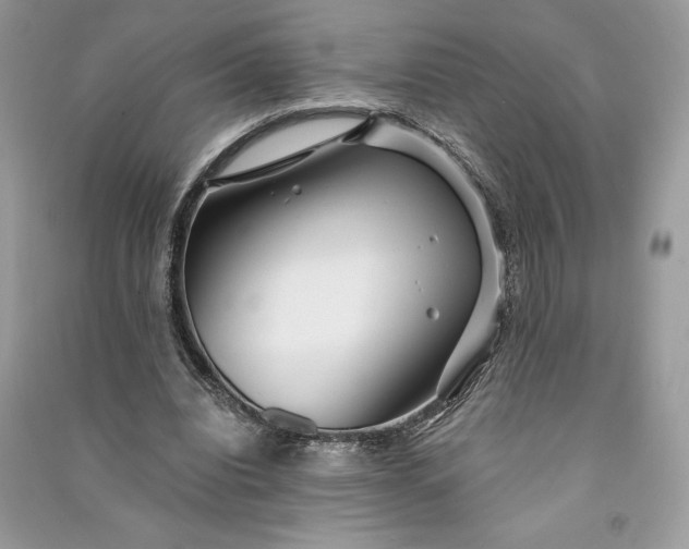 X0000090870440200708101337