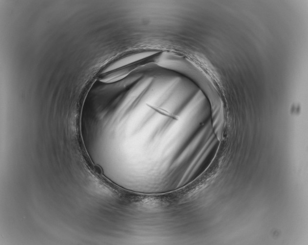 X0000090870441200708101337