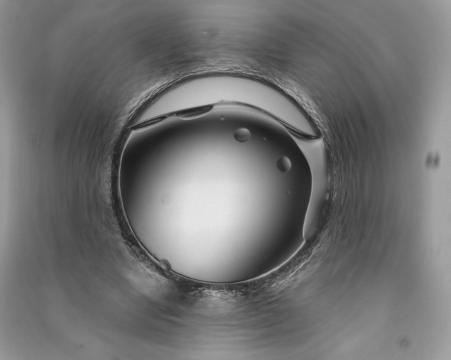 X0000090870442200708101337