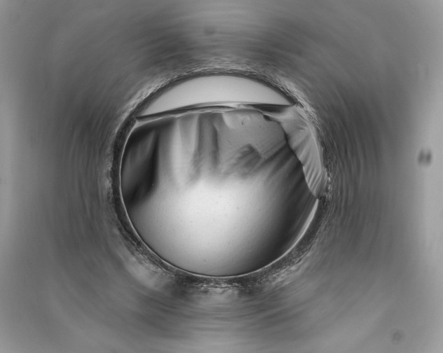 X0000090870443200708101337