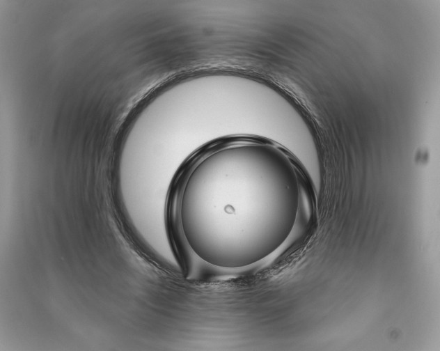 X0000090870444200708101337