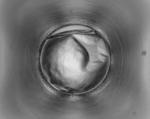 X0000090870445200708101337