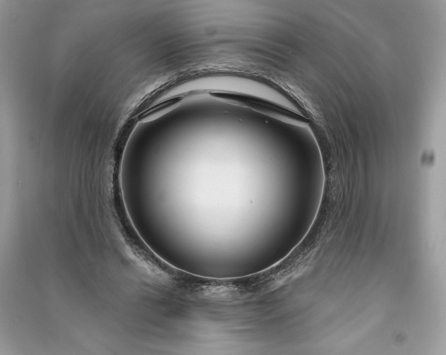 X0000090870446200708101337