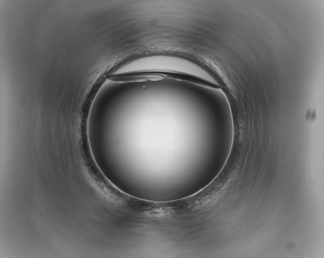 X0000090870447200708101337