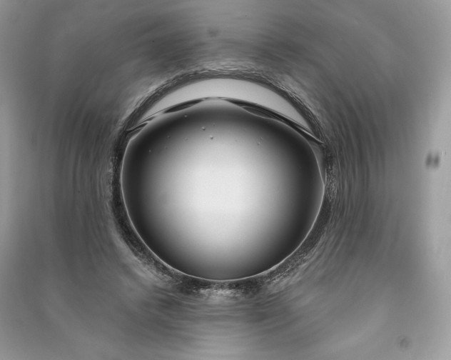 X0000090870448200708101337