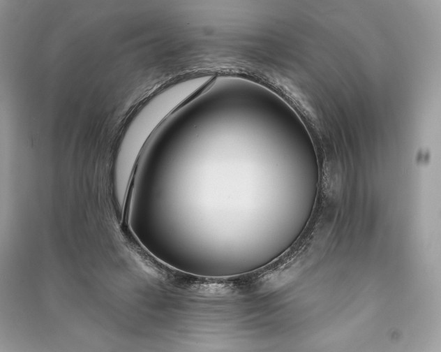 X0000090870449200708101337