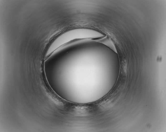 X0000090870450200708101337