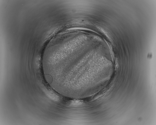 X0000090870451200708101337