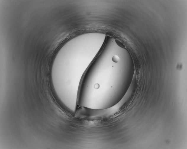 X0000090870452200708101337