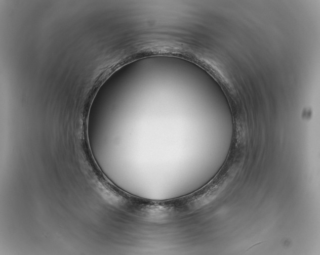 X0000090870453200708101337