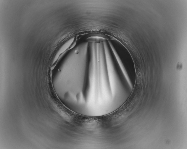 X0000090870454200708101337