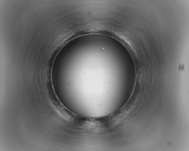 X0000090870455200708101337