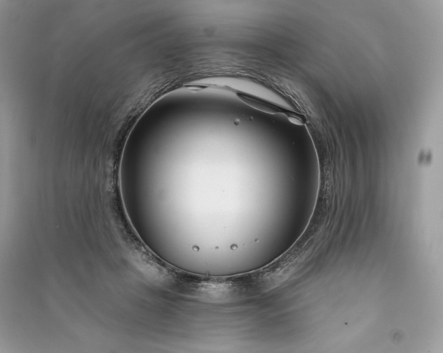 X0000090870457200708101337