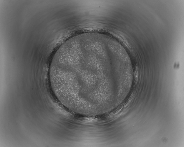 X0000090870458200708101337