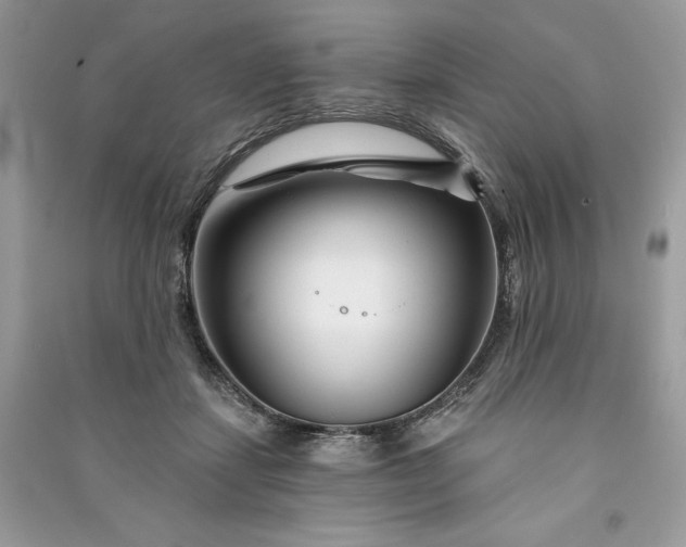 X0000090870459200708101337