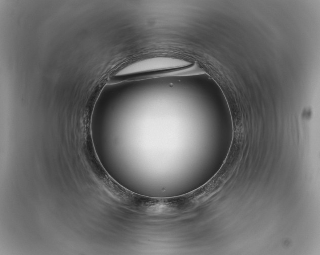 X0000090870460200708101337