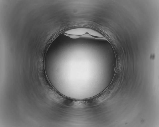 X0000090870461200708101337