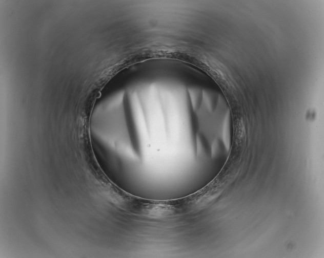 X0000090870463200708101337