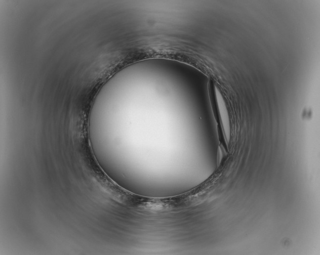 X0000090870464200708101337