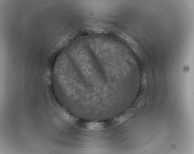 X0000090870465200708101337