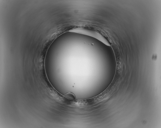 X0000090870466200708101337