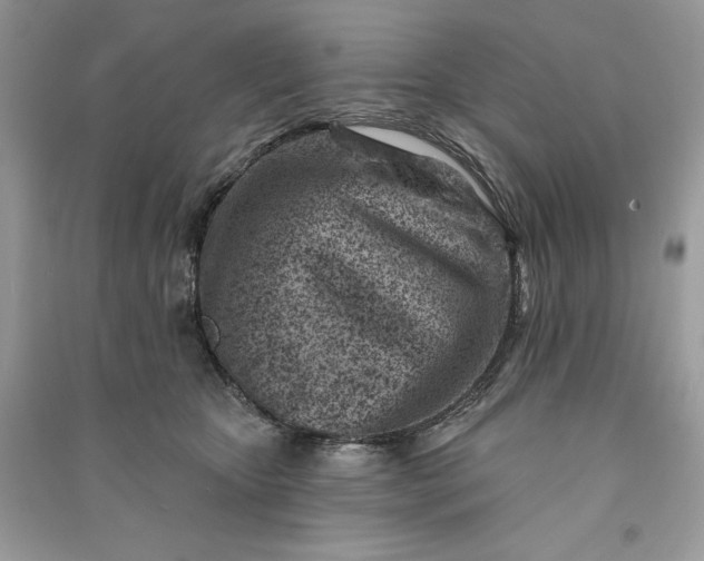 X0000090870467200708101337