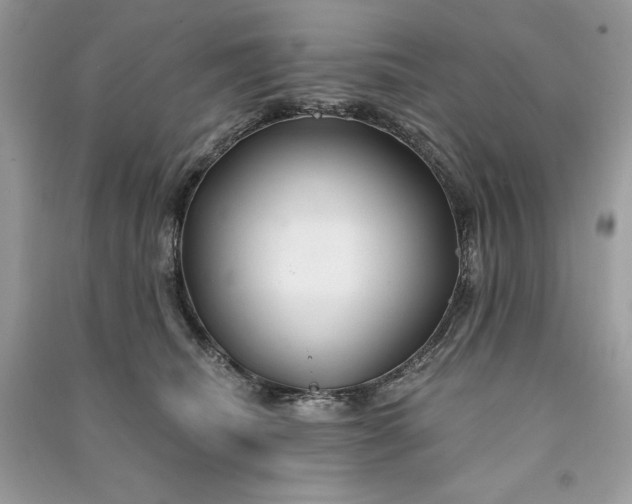 X0000090870468200708101337