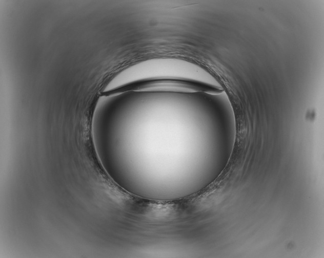 X0000090870469200708101337