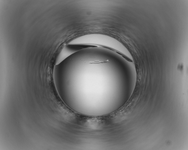 X0000090870470200708101337