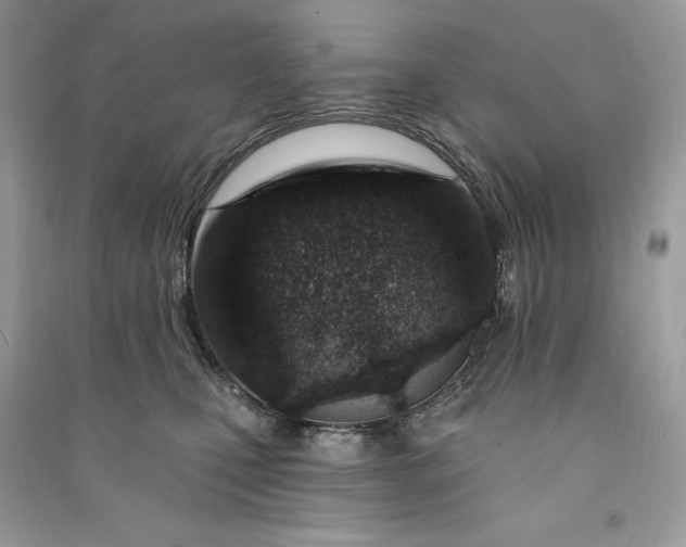 X0000090870471200708101337