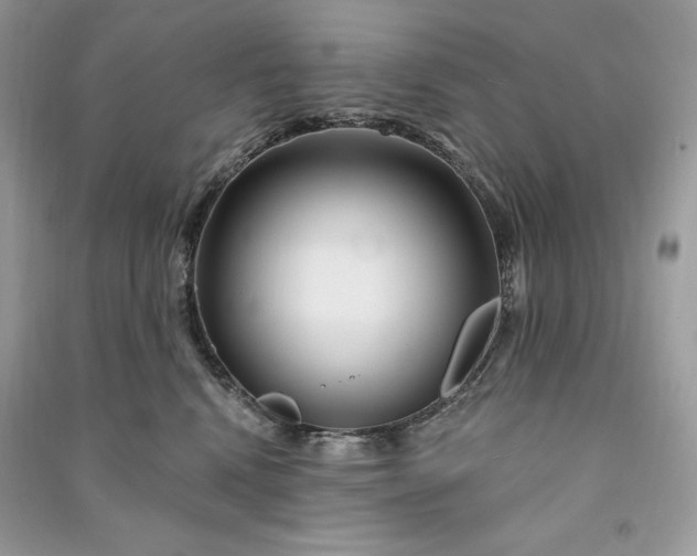 X0000090870472200708101337